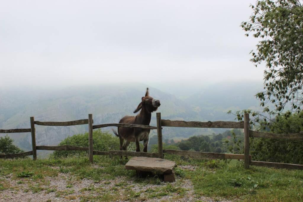 Los Pradones San Roque de Ríomiera Екстериор снимка