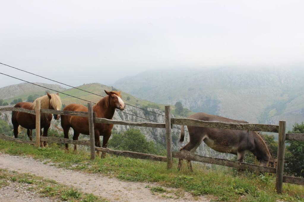 Los Pradones San Roque de Ríomiera Екстериор снимка